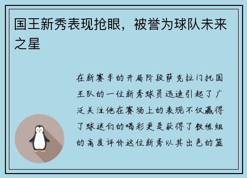 国王新秀表现抢眼，被誉为球队未来之星