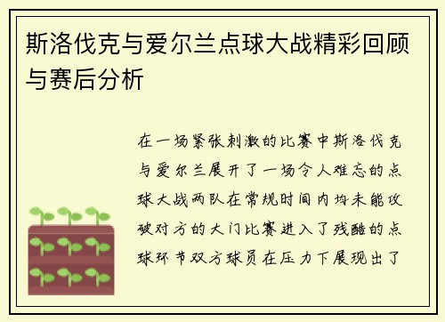 斯洛伐克与爱尔兰点球大战精彩回顾与赛后分析