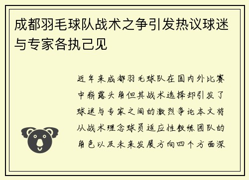 成都羽毛球队战术之争引发热议球迷与专家各执己见
